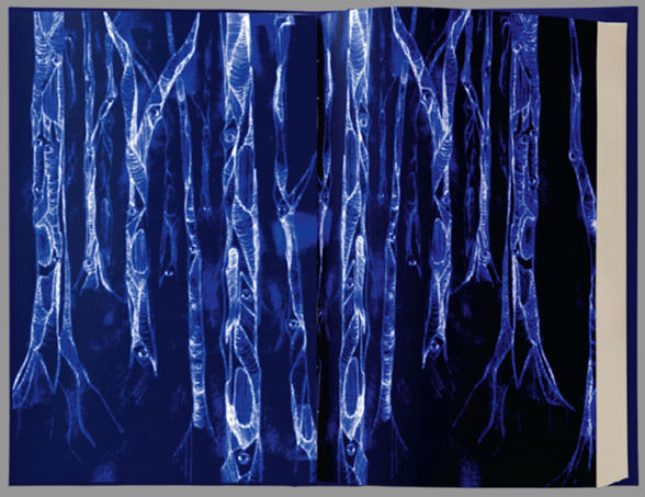 After Midnight : Thirteen Chilling Tales for the Dark Hours - First Edition with Sprayed Edge - The Cleeve Bookshop