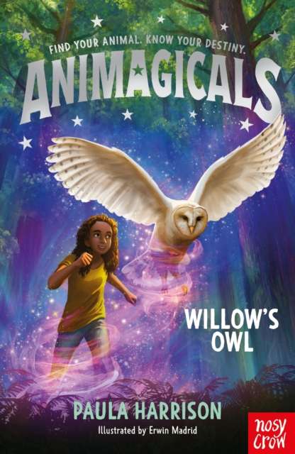 Animagicals: Willow's Owl - The Cleeve Bookshop
