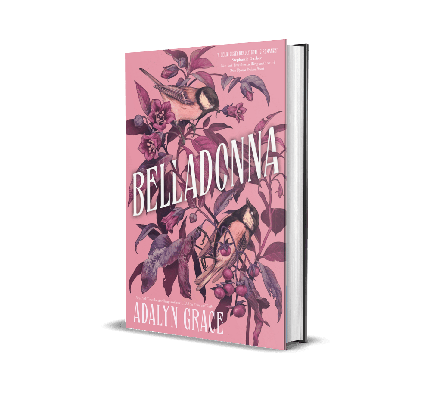 'Belladonna' by Adalyn Grace - Vault Edition with Foiled Cover - The Cleeve Bookshop