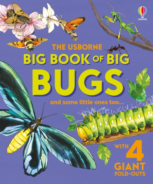 Big Book of Big Bugs - The Cleeve Bookshop
