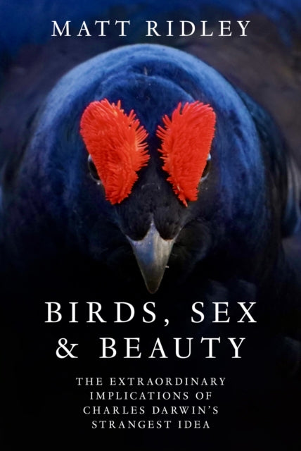 Birds, Sex and Beauty : The Extraordinary Implications of Charles Darwin’s Strangest Idea - The Cleeve Bookshop
