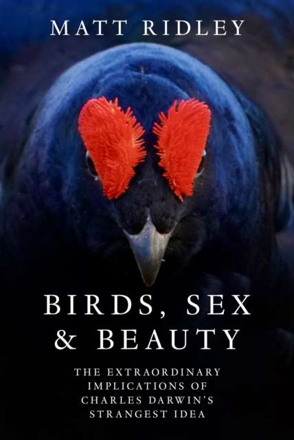 Birds, Sex and Beauty : The Extraordinary Implications of Charles Darwin’s Strangest Idea - The Cleeve Bookshop
