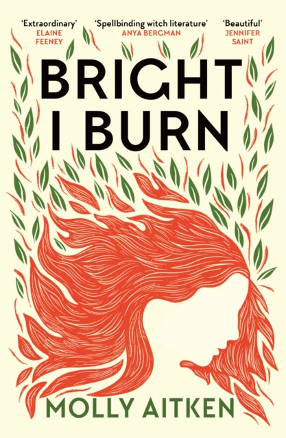 Bright I Burn - The Cleeve Bookshop