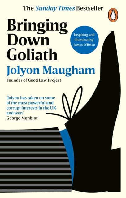 Bringing Down Goliath : How Good Law Can Topple the Powerful - 9780753559802