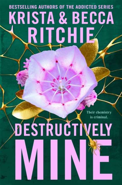 Destructively Mine - The Cleeve Bookshop