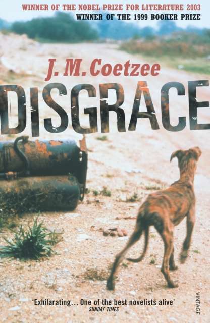 Disgrace : A BBC Radio 4 Good Read - The Cleeve Bookshop