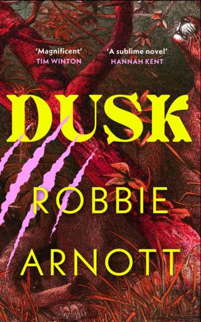 Dusk - The Cleeve Bookshop