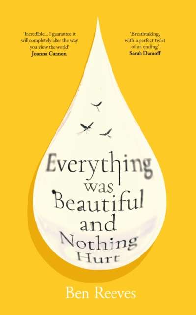 Everything was Beautiful and Nothing Hurt : ‘Incredible... I guarantee it will completely alter the way you view the world’ Joanna Cannon - The Cleeve Bookshop