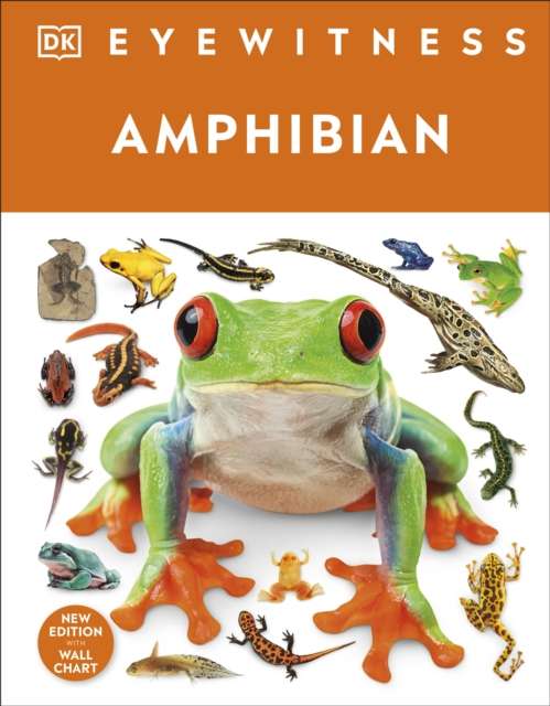 Eyewitness Amphibian - The Cleeve Bookshop