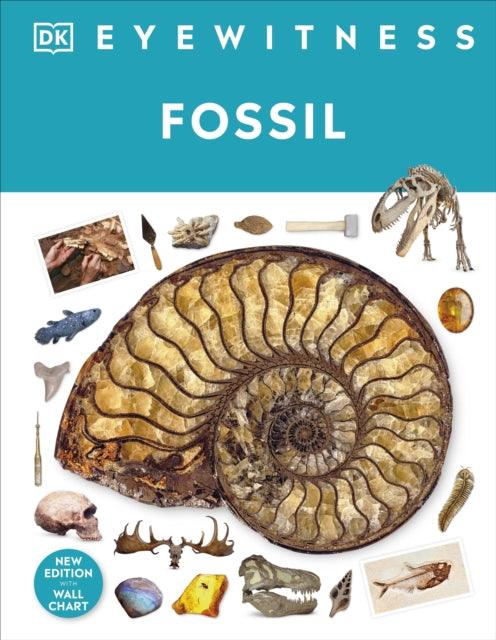 Fossil - The Cleeve Bookshop