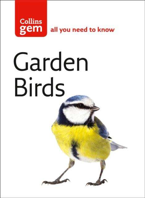 Garden Birds - The Cleeve Bookshop