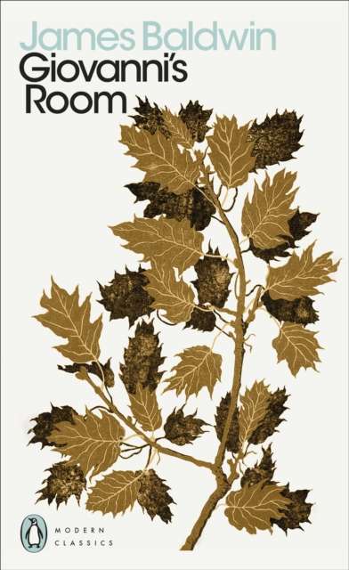 Giovanni's Room - The Cleeve Bookshop