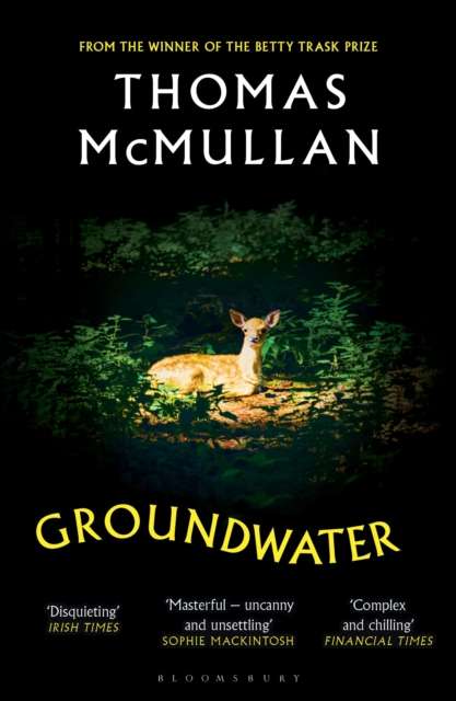 Groundwater : ‘Complex, chilling, masterful' Financial Times - The Cleeve Bookshop