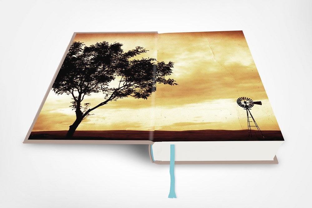 The Land of Sweet Forever - Independent Bookshop First Edition