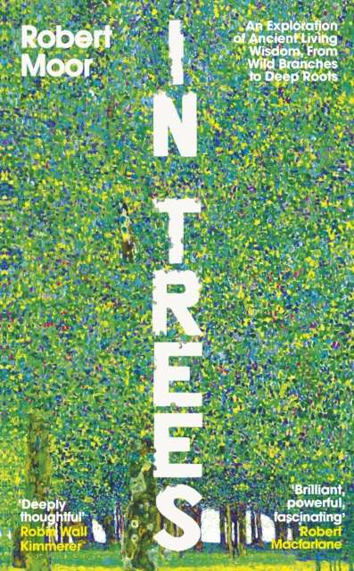 In Trees : An Exploration of Ancient Living Wisdom, From Wild Branches to Deep Roots - The Cleeve Bookshop