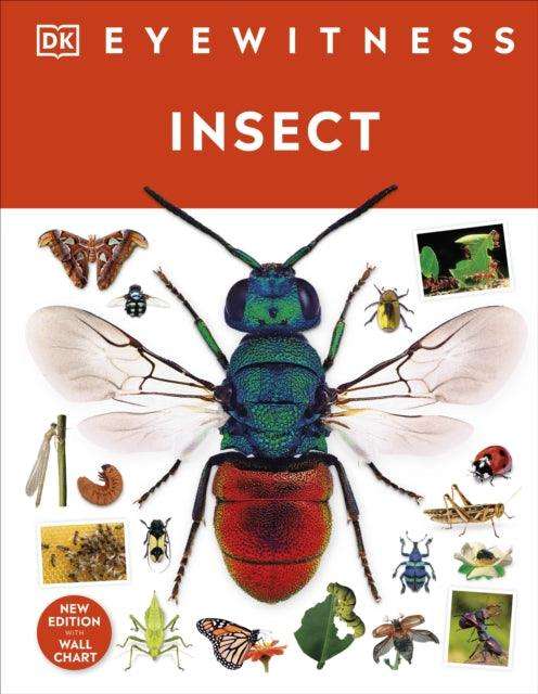Insect - The Cleeve Bookshop