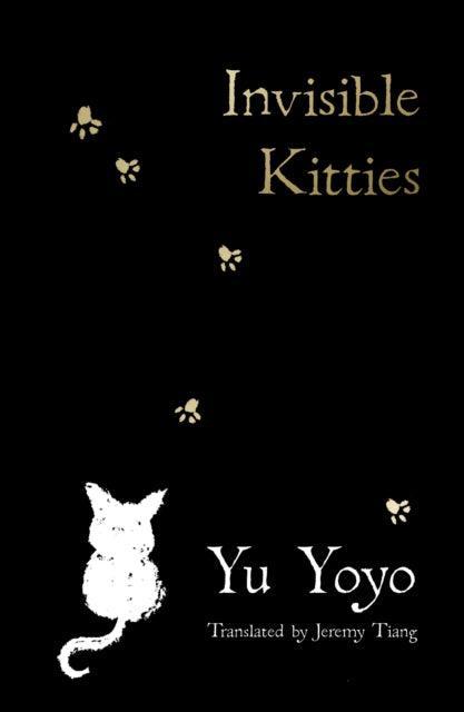 Invisible Kitties - The Cleeve Bookshop