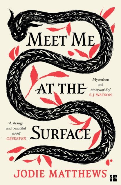 Meet Me at the Surface - The Cleeve Bookshop