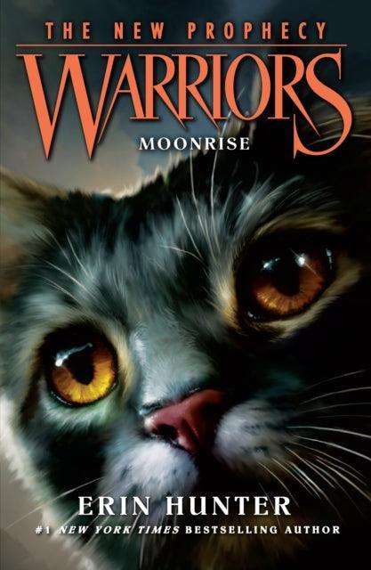 MOONRISE : Book 2 - The Cleeve Bookshop