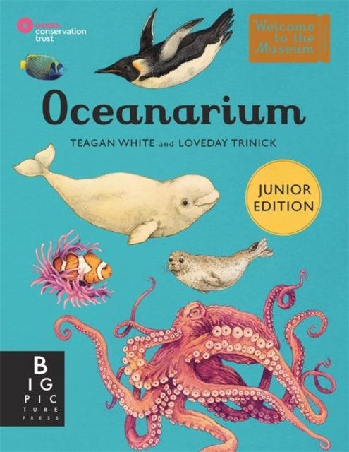 Oceanarium (Junior Edition) - The Cleeve Bookshop