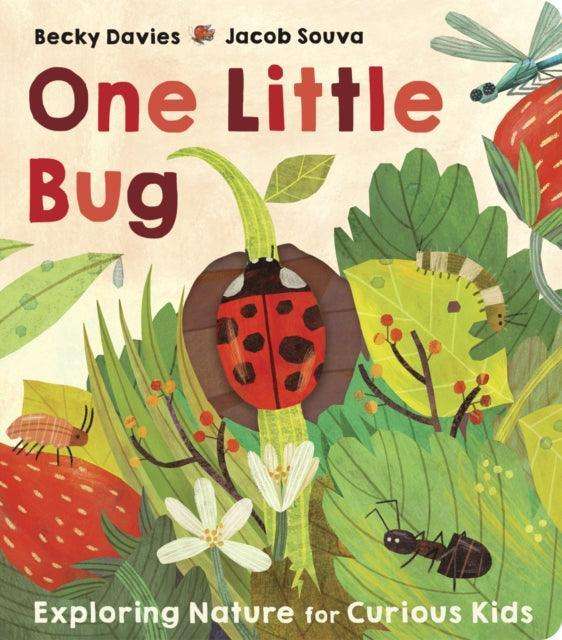 One Little Bug - The Cleeve Bookshop