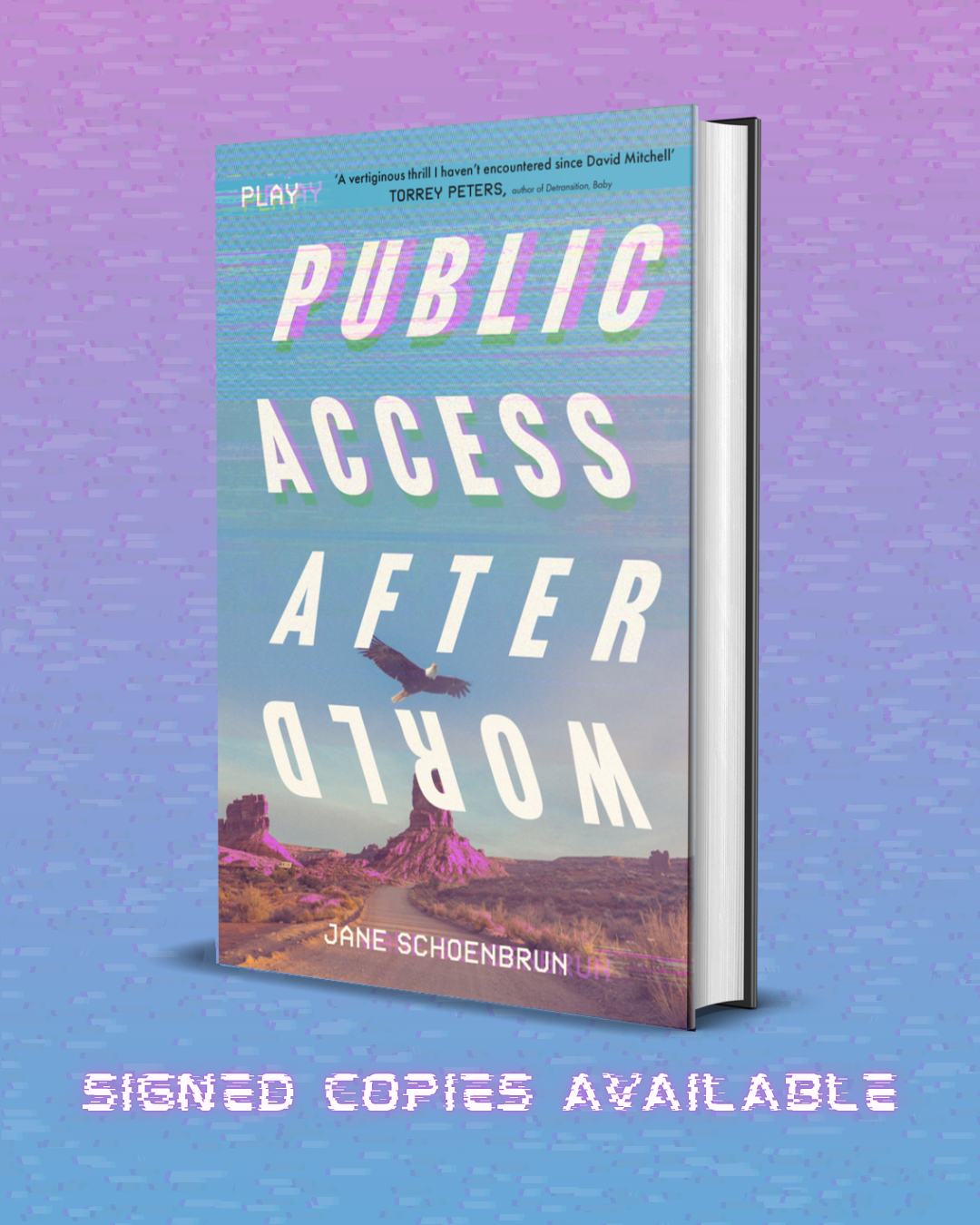 Public Access Afterworld - Signed First Edition