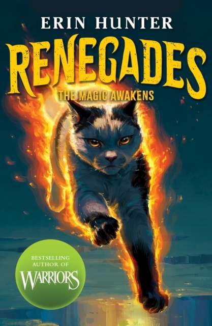 Renegades: The Magic Awakens - The Cleeve Bookshop