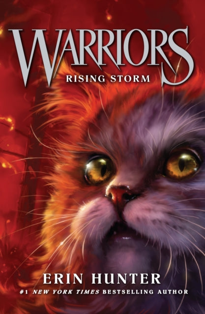 Rising Storm : Book 4 - The Cleeve Bookshop