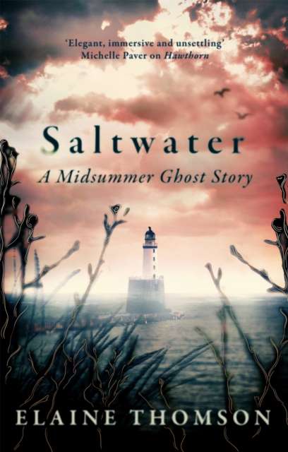 Saltwater : A midsummer ghost story - The Cleeve Bookshop