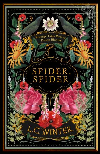 Spider, Spider : 'Black as night and as cleverly woven as a spider's web' Anna Mazzola - The Cleeve Bookshop