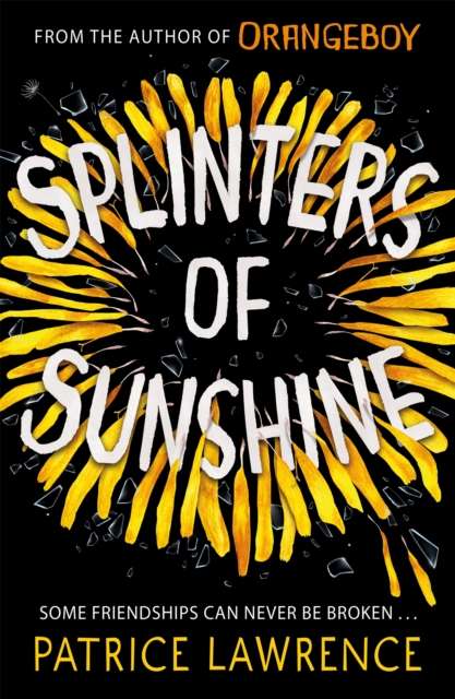 Splinters of Sunshine - The Cleeve Bookshop
