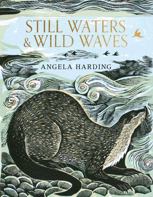 Still Waters & Wild Waves - The Cleeve Bookshop