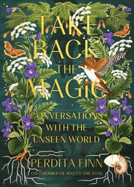 Take Back the Magic : Conversations with the Unseen World - The Cleeve Bookshop