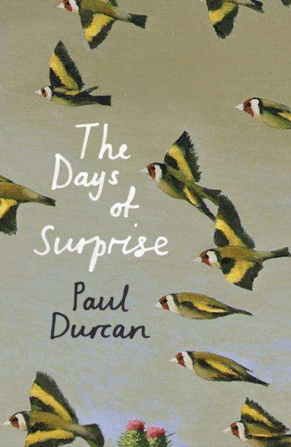 The Days of Surprise - The Cleeve Bookshop