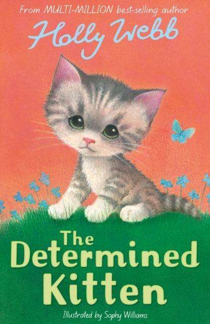 The Determined Kitten - The Cleeve Bookshop