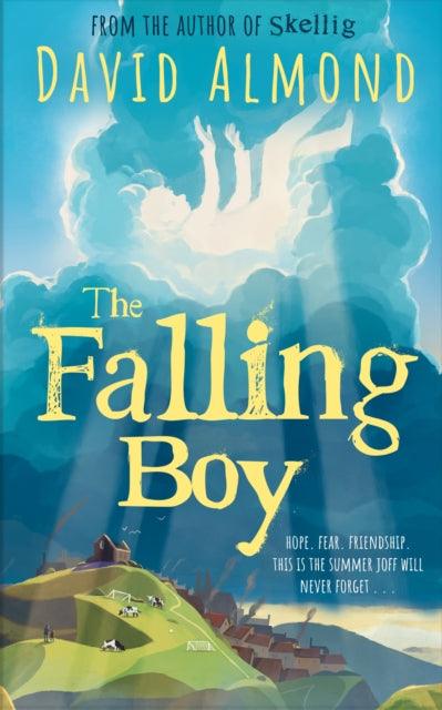The Falling Boy - The Cleeve Bookshop