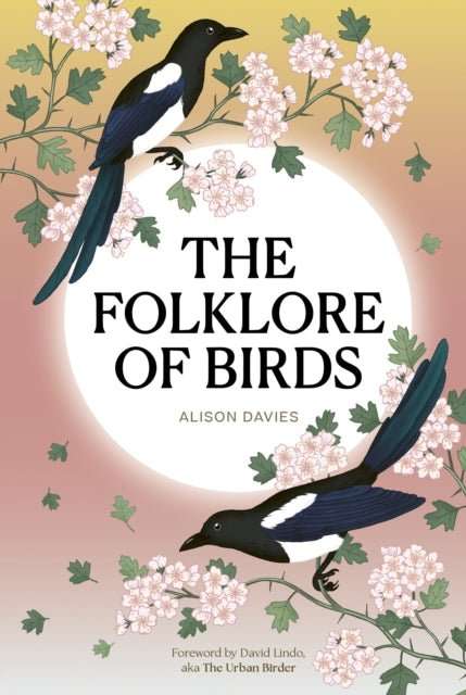 The Folklore of Birds : The forgotten tales behind nature’s most enigmatic creatures - The Cleeve Bookshop