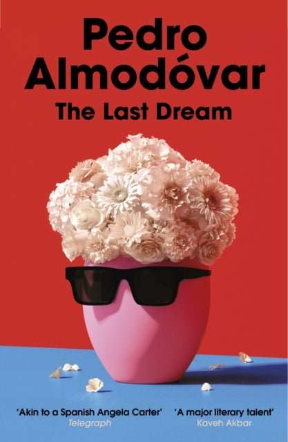 The Last Dream - The Cleeve Bookshop