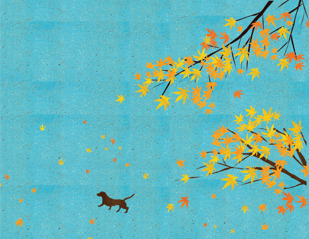 The Passengers on the Hankyu Line - Signed Bookplate First Edition - The Cleeve Bookshop