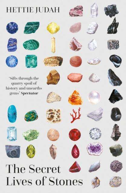 The Secret Lives of Stones : 'A real cabinet of curiosities' SUNDAY TIMES - The Cleeve Bookshop