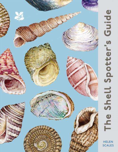 The Shell Spotter’s Guide - The Cleeve Bookshop
