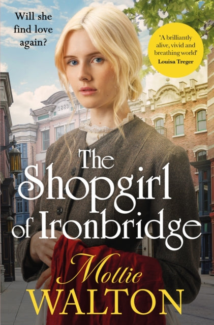 The Shopgirl of Ironbridge - The Cleeve Bookshop