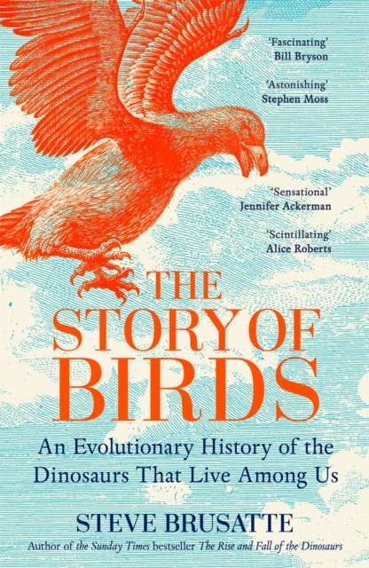 The Story of Birds : An Evolutionary History of the Dinosaurs That Live Among Us - The Cleeve Bookshop