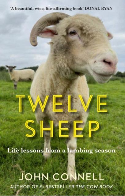 Twelve Sheep : Life lessons from a lambing season - The Cleeve Bookshop