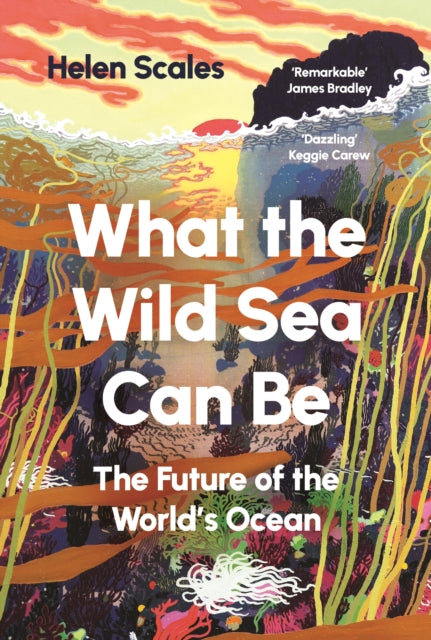 What the Wild Sea Can Be : Shortlisted for the Women's Prize for Nonfiction - The Cleeve Bookshop