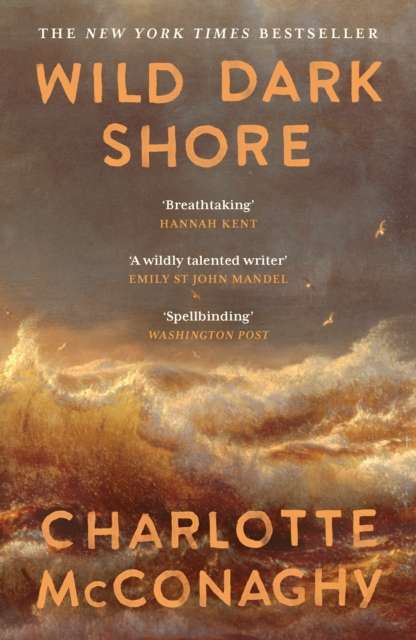 Wild Dark Shore - The Cleeve Bookshop