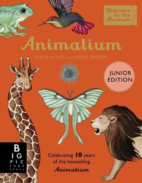 Animalium (Junior Edition) - The Cleeve Bookshop