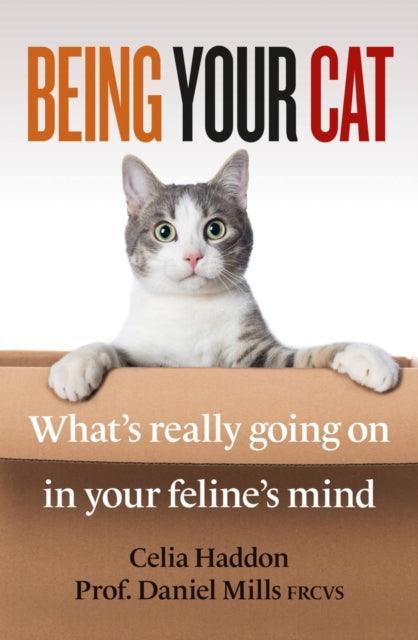 Being Your Cat : What's really going on in your feline's mind - The Cleeve Bookshop