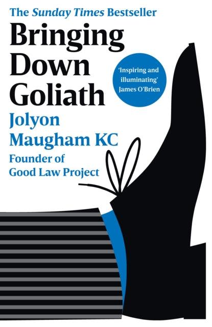 Bringing Down Goliath : How Good Law Can Topple the Powerful - 9780753559789