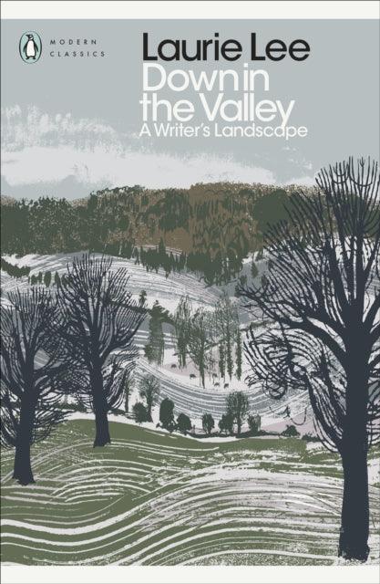 Down in the Valley : A Writer's Landscape - 9780241411698